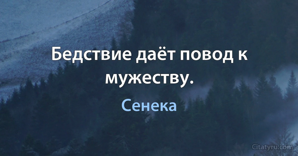 Бедствие даёт повод к мужеству. (Сенека)