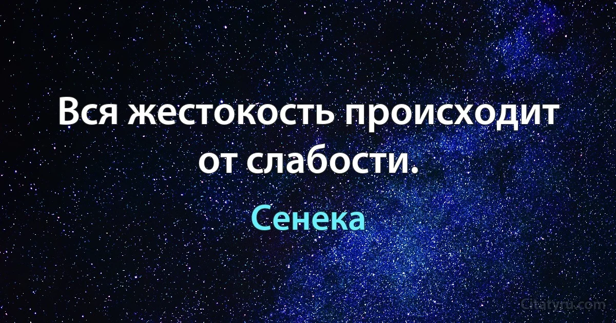 Вся жестокость происходит от слабости. (Сенека)