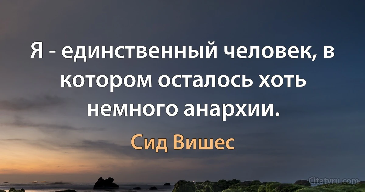 Я - единственный человек, в котором осталось хоть немного анархии. (Сид Вишес)