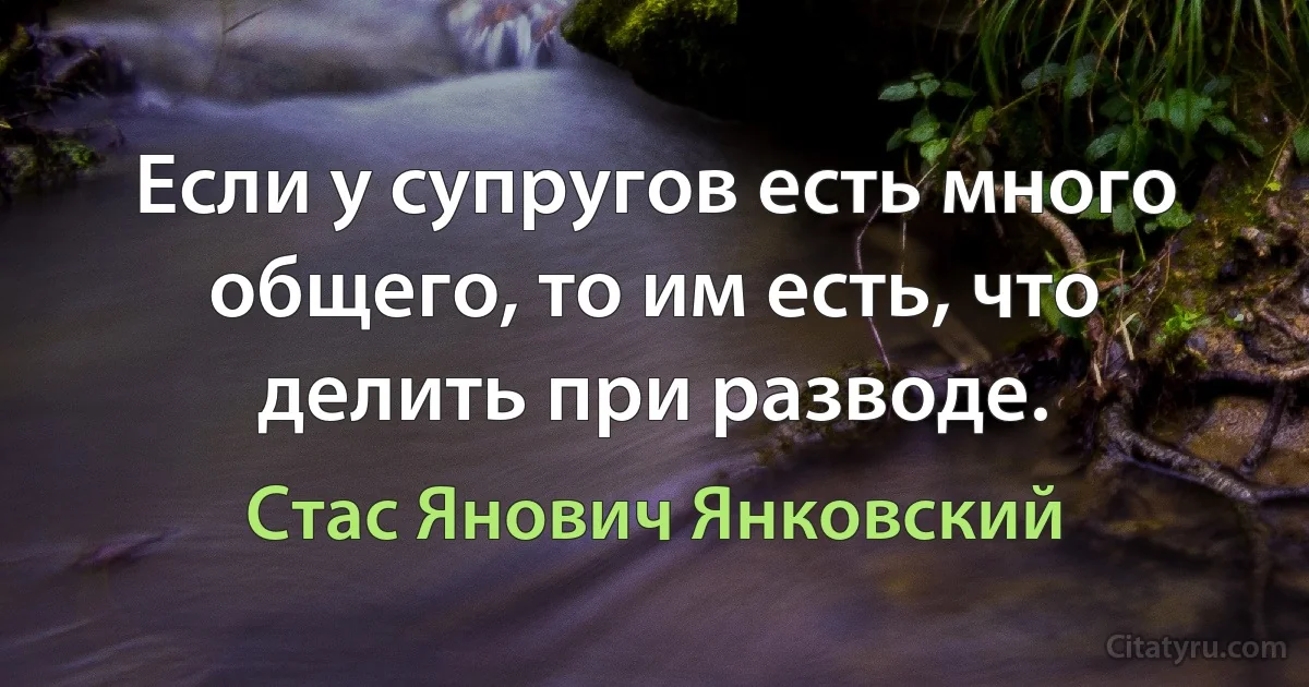 Если у супругов есть много общего, то им есть, что делить при разводе. (Стас Янович Янковский)