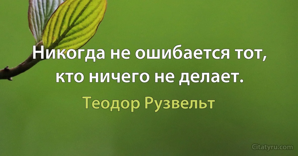 Никогда не ошибается тот, кто ничего не делает. (Теодор Рузвельт)