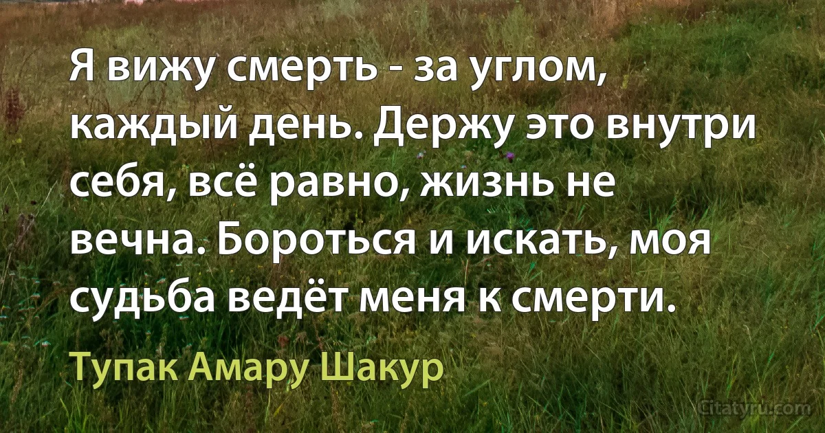 Я вижу смерть - за углом, каждый день. Держу это внутри себя, всё равно, жизнь не вечна. Бороться и искать, моя судьба ведёт меня к смерти. (Тупак Амару Шакур)