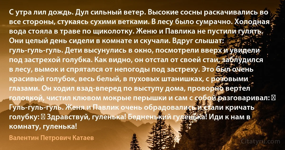 С утра лил дождь. Дул сильный ветер. Высокие сосны раскачивались во все стороны, стукаясь сухими ветками. В лесу было сумрачно. Холодная вода стояла в траве по щиколотку. Женю и Павлика не пустили гулять. Они целый день сидели в комнате и скучали. Вдруг слышат: гуль-гуль-гуль. Дети высунулись в окно, посмотрели вверх и увидели под застрехой голубка. Как видно, он отстал от своей стаи, заблудился в лесу, вымок и спрятался от непогоды под застреху. Это был очень красивый голубок, весь белый, в пуховых штанишках, с розовыми глазами. Он ходил взад-вперед по выступу дома, проворно вертел головкой, чистил клювом мокрые перышки и сам с собой разговаривал: ― Гуль-гуль-гуль. Женя и Павлик очень обрадовались и стали кричать голубку: ― Здравствуй, гуленька! Бедненький гуленька! Иди к нам в комнату, гуленька! (Валентин Петрович Катаев)