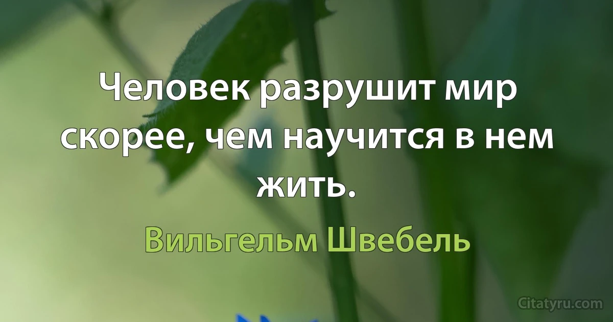 Человек разрушит мир скорее, чем научится в нем жить. (Вильгельм Швебель)