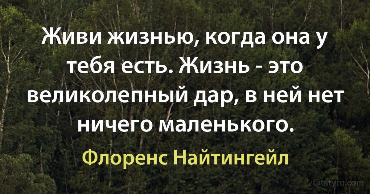 Живи жизнью, когда она у тебя есть. Жизнь - это великолепный дар, в ней нет ничего маленького. (Флоренс Найтингейл)