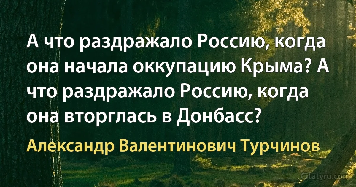 А что раздражало Россию, когда она начала оккупацию Крыма? А что раздражало Россию, когда она вторглась в Донбасс? (Александр Валентинович Турчинов)