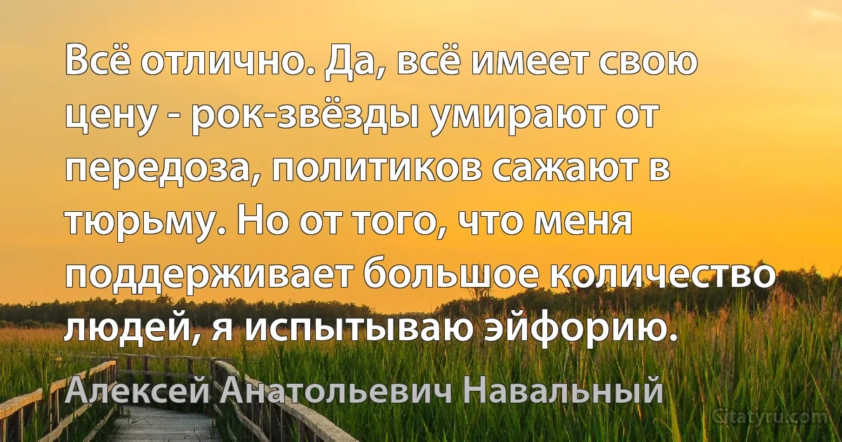 Всё отлично. Да, всё имеет свою цену - рок-звёзды умирают от передоза, политиков сажают в тюрьму. Но от того, что меня поддерживает большое количество людей, я испытываю эйфорию. (Алексей Анатольевич Навальный)