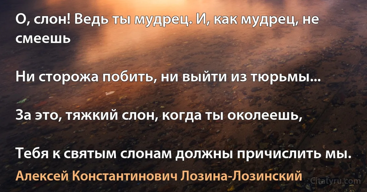 О, слон! Ведь ты мудрец. И, как мудрец, не смеешь

Ни сторожа побить, ни выйти из тюрьмы...

За это, тяжкий слон, когда ты околеешь,

Тебя к святым слонам должны причислить мы. (Алексей Константинович Лозина-Лозинский)