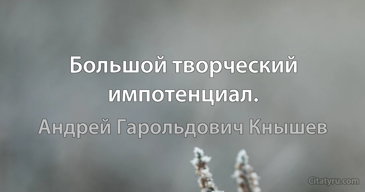 Большой творческий импотенциал. (Андрей Гарольдович Кнышев)