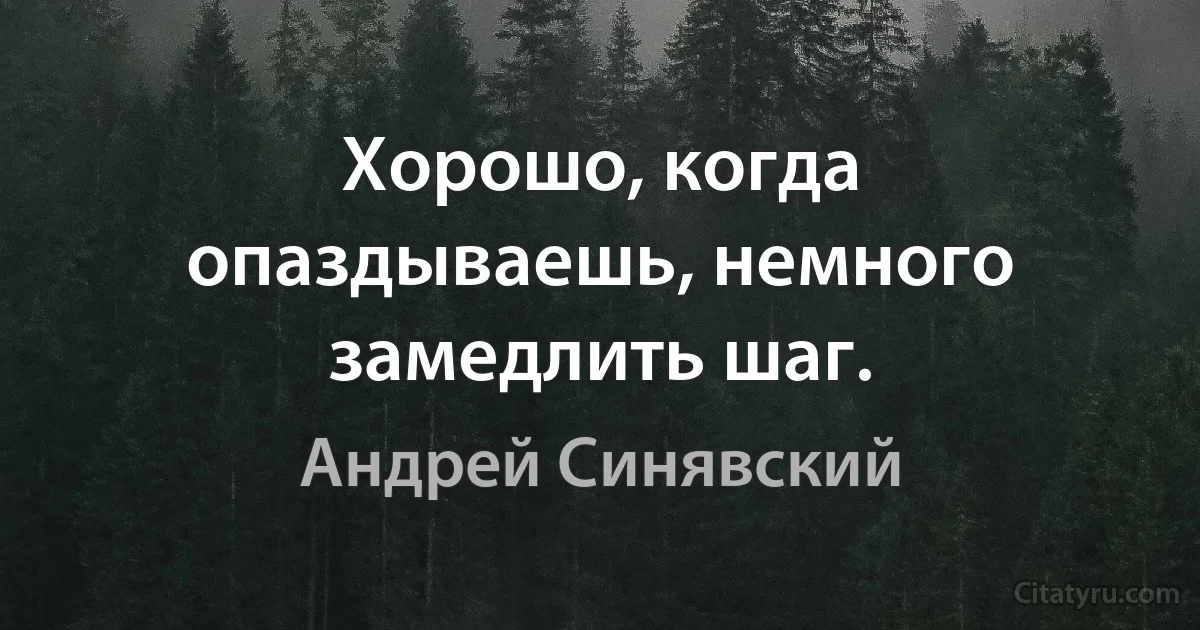 Хорошо, когда опаздываешь, немного замедлить шаг. (Андрей Синявский)