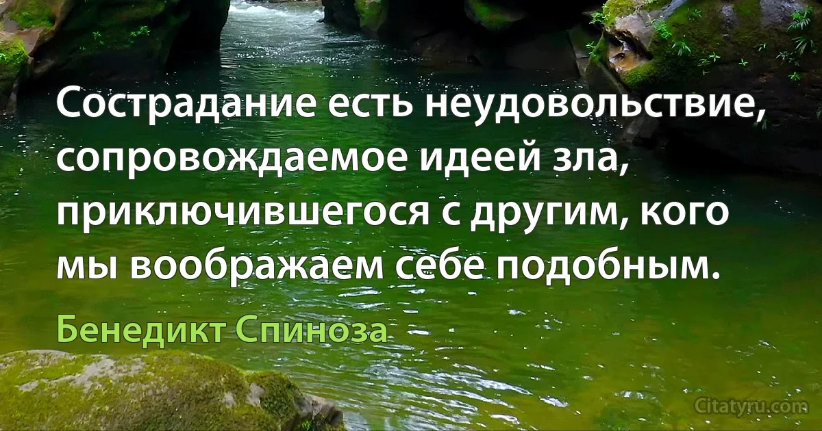 Сострадание есть неудовольствие, сопровождаемое идеей зла, приключившегося с другим, кого мы воображаем себе подобным. (Бенедикт Спиноза)