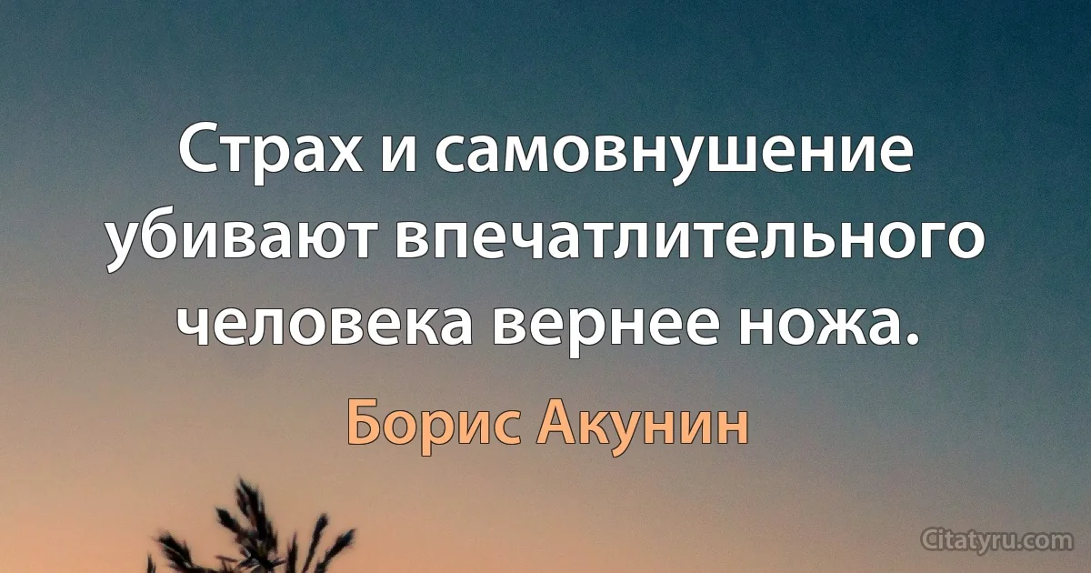 Страх и самовнушение убивают впечатлительного человека вернее ножа. (Борис Акунин)