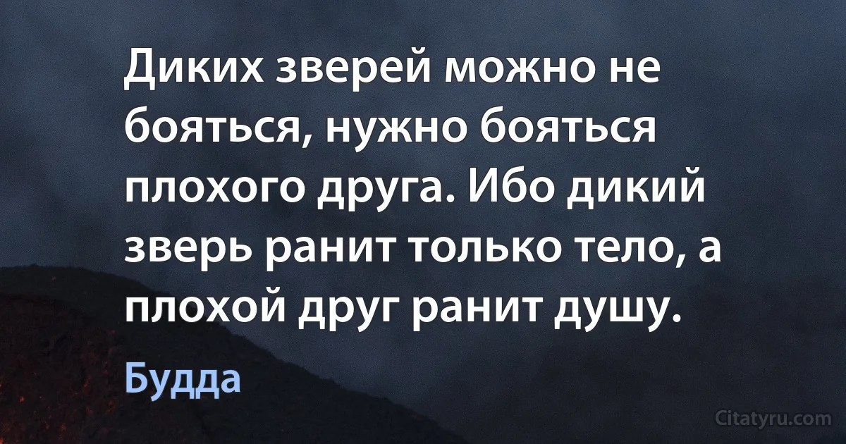 Диких зверей можно не бояться, нужно бояться плохого друга. Ибо дикий зверь ранит только тело, а плохой друг ранит душу. (Будда)