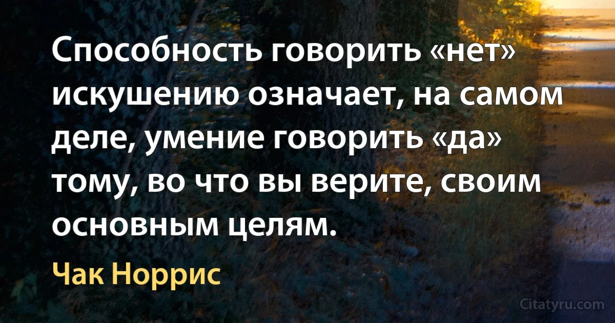 Способность говорить «нет» искушению означает, на самом деле, умение говорить «да» тому, во что вы верите, своим основным целям. (Чак Норрис)