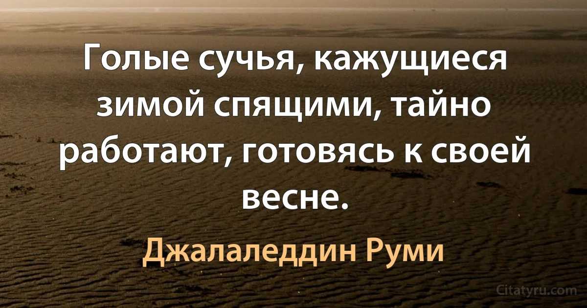 Голые сучья, кажущиеся зимой спящими, тайно работают, готовясь к своей весне. (Джалаледдин Руми)