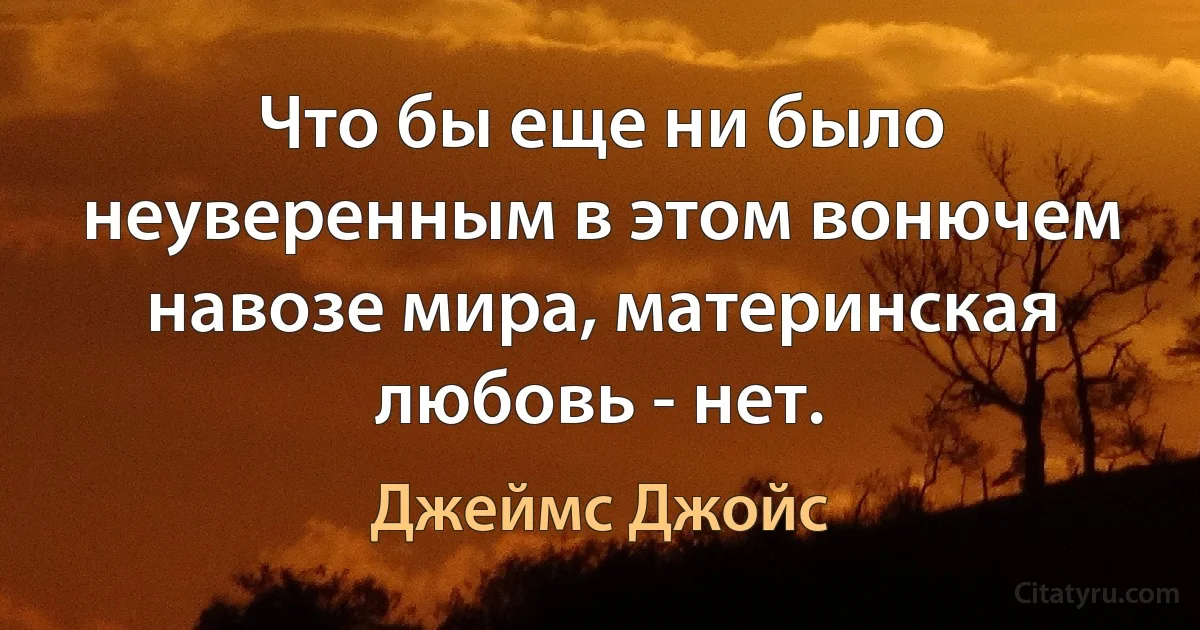 Что бы еще ни было неуверенным в этом вонючем навозе мира, материнская любовь - нет. (Джеймс Джойс)