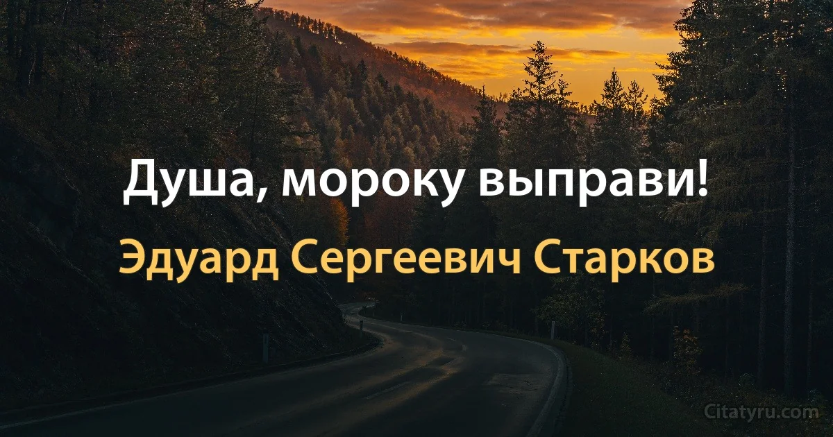 Душа, мороку выправи! (Эдуард Сергеевич Старков)