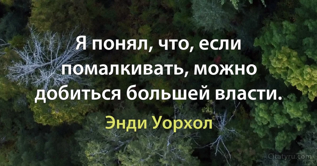 Я понял, что, если помалкивать, можно добиться большей власти. (Энди Уорхол)