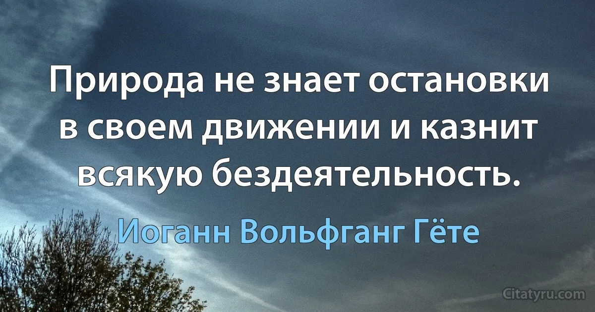 Природа не знает остановки в своем движении и казнит всякую бездеятельность. (Иоганн Вольфганг Гёте)