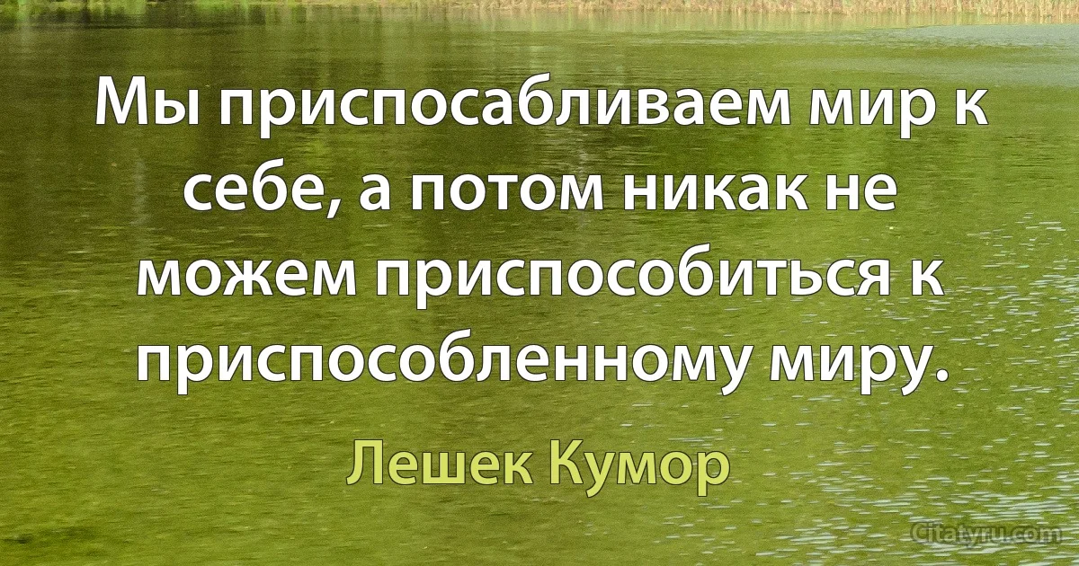 Мы приспосабливаем мир к себе, а потом никак не можем приспособиться к приспособленному миру. (Лешек Кумор)