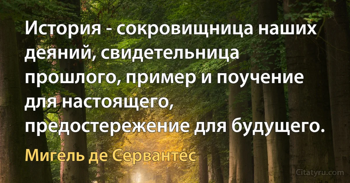 История - сокровищница наших деяний, свидетельница прошлого, пример и поучение для настоящего, предостережение для будущего. (Мигель де Сервантес)