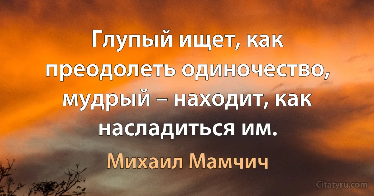 Глупый ищет, как преодолеть одиночество, мудрый – находит, как насладиться им. (Михаил Мамчич)