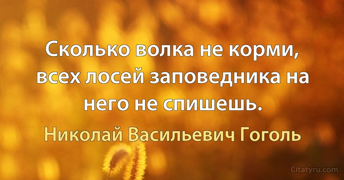 Сколько волка не корми, всех лосей заповедника на него не спишешь. (Николай Васильевич Гоголь)