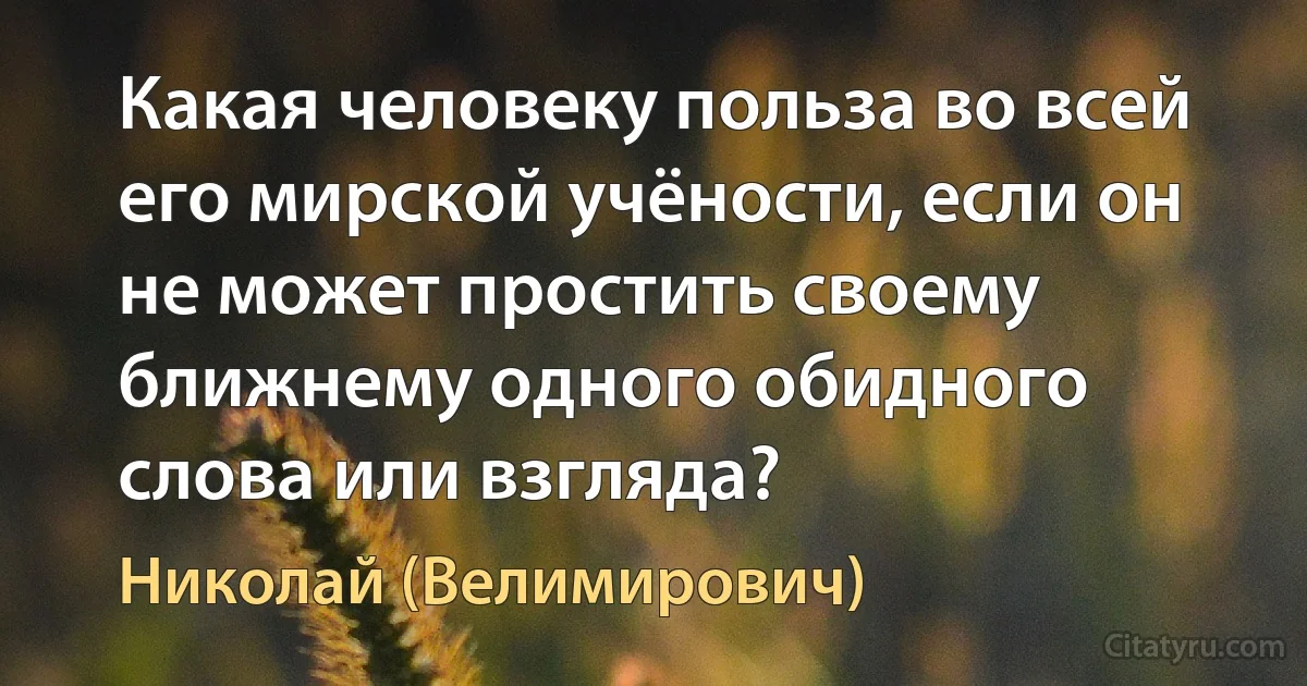 Какая человеку польза во всей его мирской учёности, если он не может простить своему ближнему одного обидного слова или взгляда? (Николай (Велимирович))