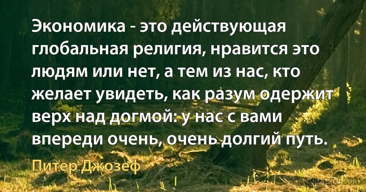 Экономика - это действующая глобальная религия, нравится это людям или нет, а тем из нас, кто желает увидеть, как разум одержит верх над догмой: у нас с вами впереди очень, очень долгий путь. (Питер Джозеф)