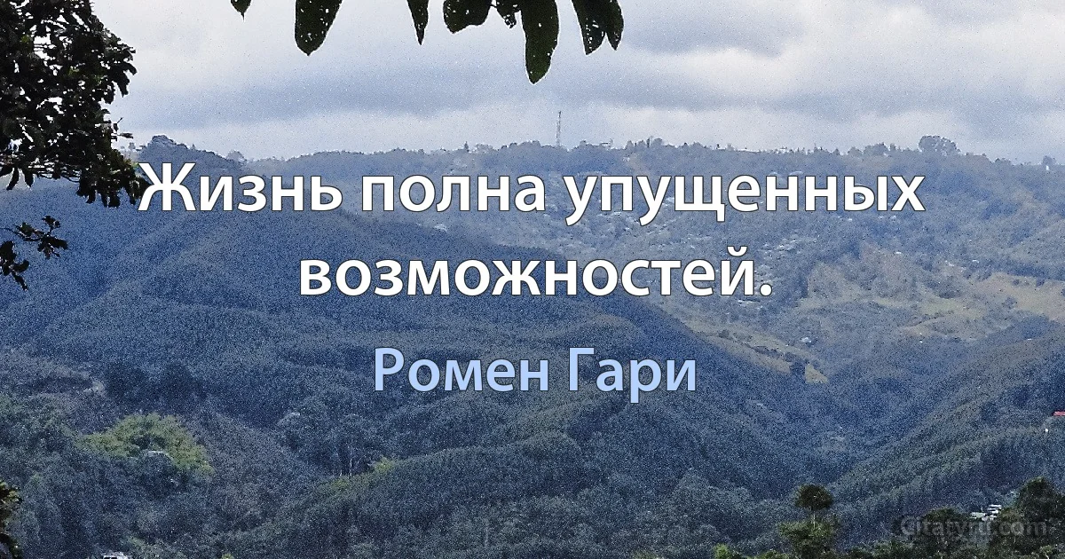 Жизнь полна упущенных возможностей. (Ромен Гари)