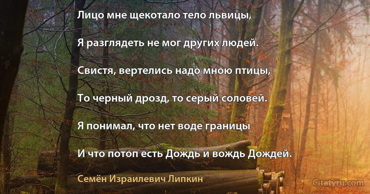 Лицо мне щекотало тело львицы,

Я разглядеть не мог других людей.

Свистя, вертелись надо мною птицы,

То черный дрозд, то серый соловей.

Я понимал, что нет воде границы

И что потоп есть Дождь и вождь Дождей. (Семён Израилевич Липкин)