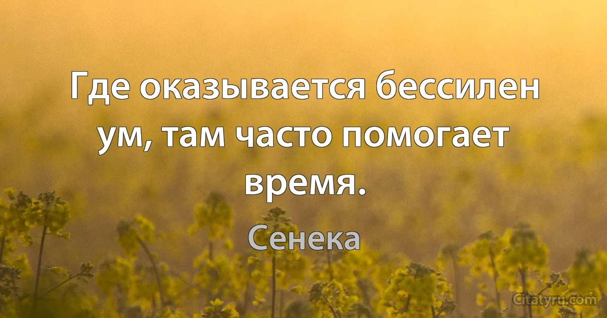 Где оказывается бессилен ум, там часто помогает время. (Сенека)