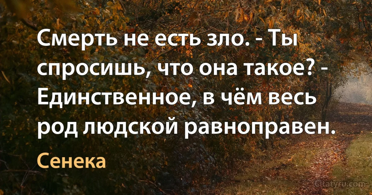 Смерть не есть зло. - Ты спросишь, что она такое? - Единственное, в чём весь род людской равноправен. (Сенека)