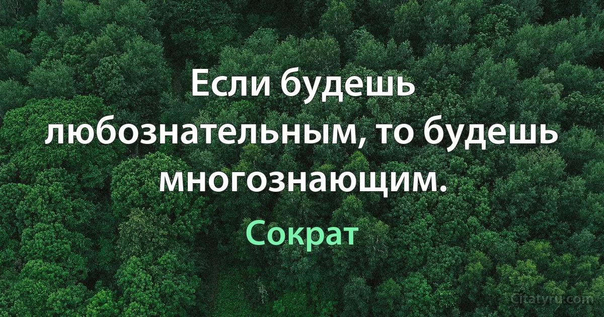 Если будешь любознательным, то будешь многознающим. (Сократ)