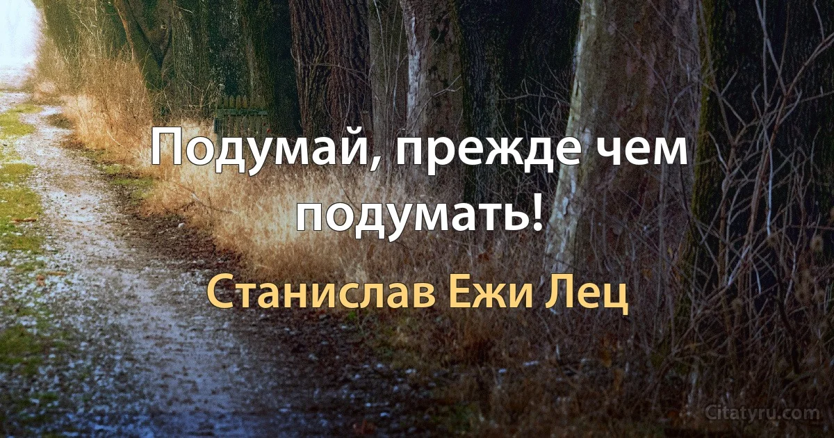 Подумай, прежде чем подумать! (Станислав Ежи Лец)