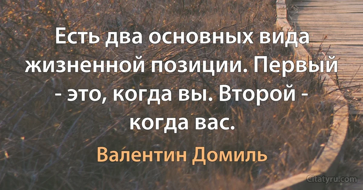 Есть два основных вида жизненной позиции. Первый - это, когда вы. Второй - когда вас. (Валентин Домиль)