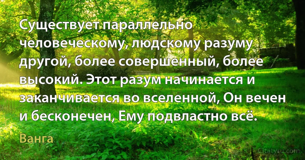 Существует параллельно человеческому, людскому разуму другой, более совершенный, более высокий. Этот разум начинается и заканчивается во вселенной, Он вечен и бесконечен, Ему подвластно всё. (Ванга)