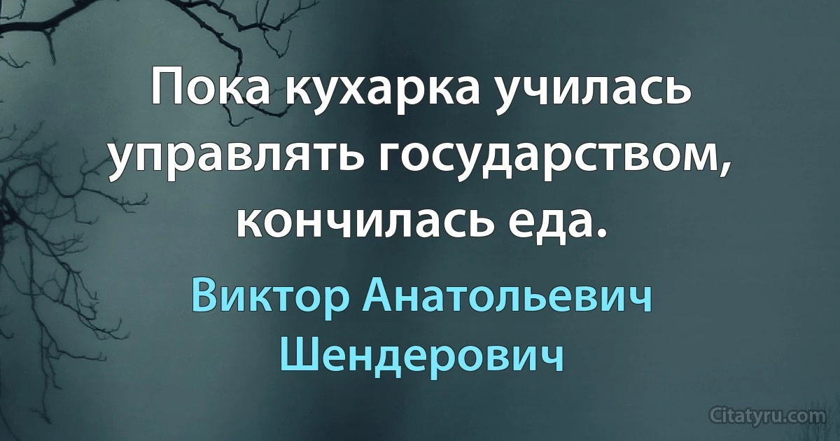 Пока кухарка училась управлять государством, кончилась еда. (Виктор Анатольевич Шендерович)