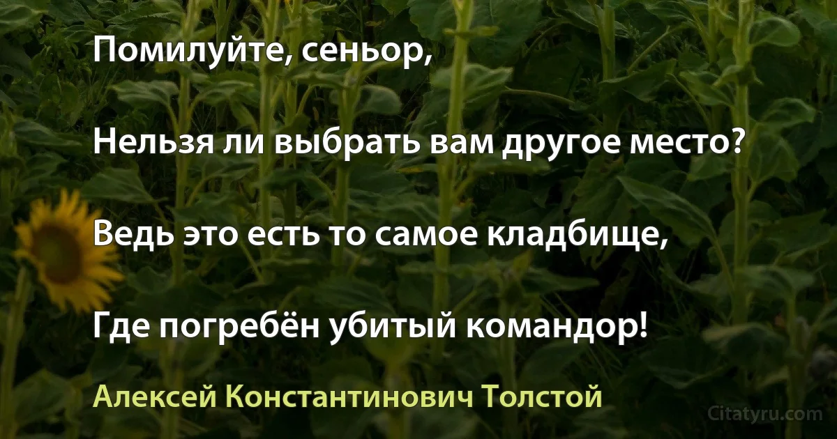 Помилуйте, сеньор,

Нельзя ли выбрать вам другое место?

Ведь это есть то самое кладбище,

Где погребён убитый командор! (Алексей Константинович Толстой)