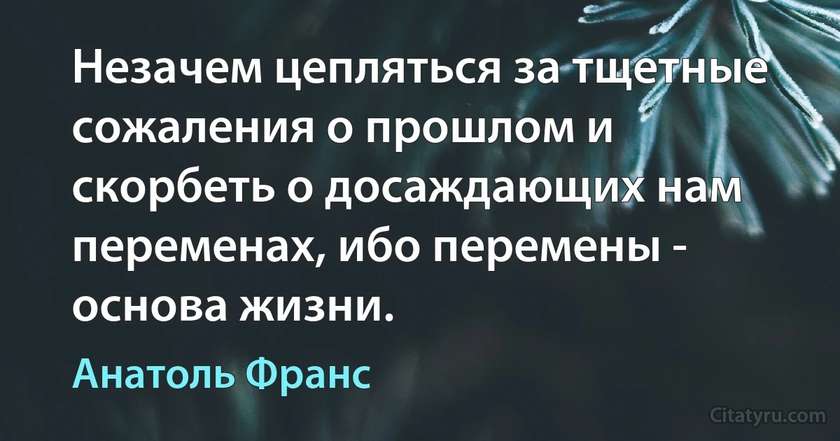 Незачем цепляться за тщетные сожаления о прошлом и скорбеть о досаждающих нам переменах, ибо перемены - основа жизни. (Анатоль Франс)