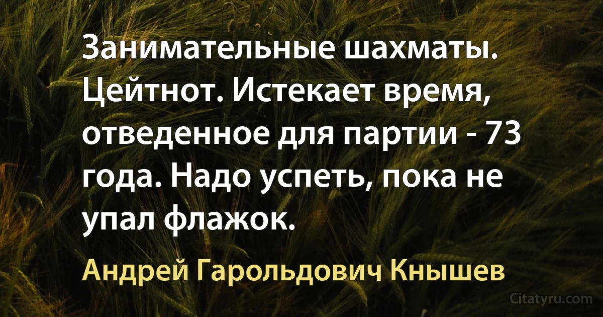 Занимательные шахматы. Цейтнот. Истекает время, отведенное для партии - 73 года. Надо успеть, пока не упал флажок. (Андрей Гарольдович Кнышев)