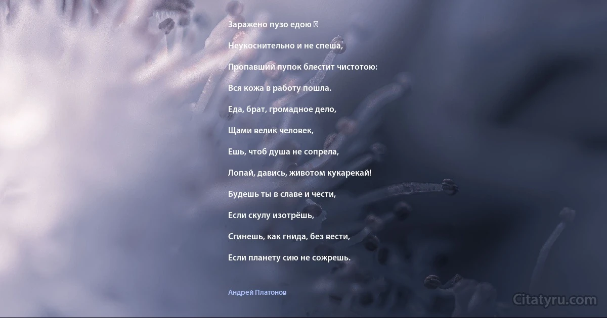 Заражено пузо едою ―

Неукоснительно и не спеша,

Пропавший пупок блестит чистотою:

Вся кожа в работу пошла.

Еда, брат, громадное дело,

Щами велик человек,

Ешь, чтоб душа не сопрела,

Лопай, давись, животом кукарекай!

Будешь ты в славе и чести,

Если скулу изотрёшь,

Сгинешь, как гнида, без вести,

Если планету сию не сожрешь. (Андрей Платонов)