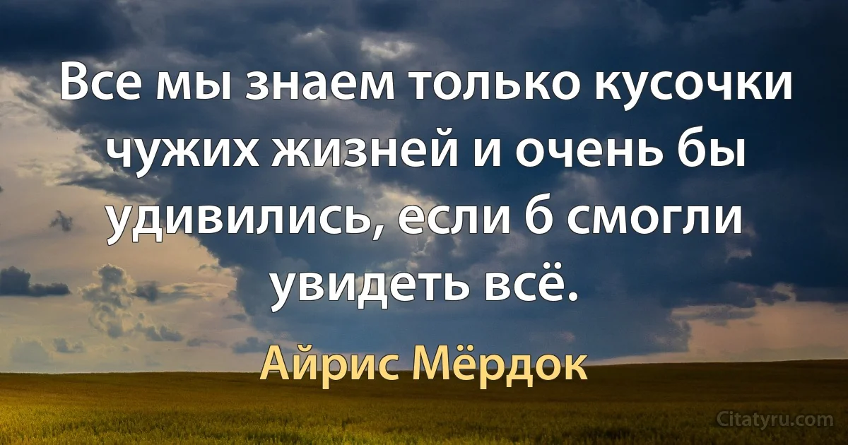 Все мы знаем только кусочки чужих жизней и очень бы удивились, если б смогли увидеть всё. (Айрис Мёрдок)