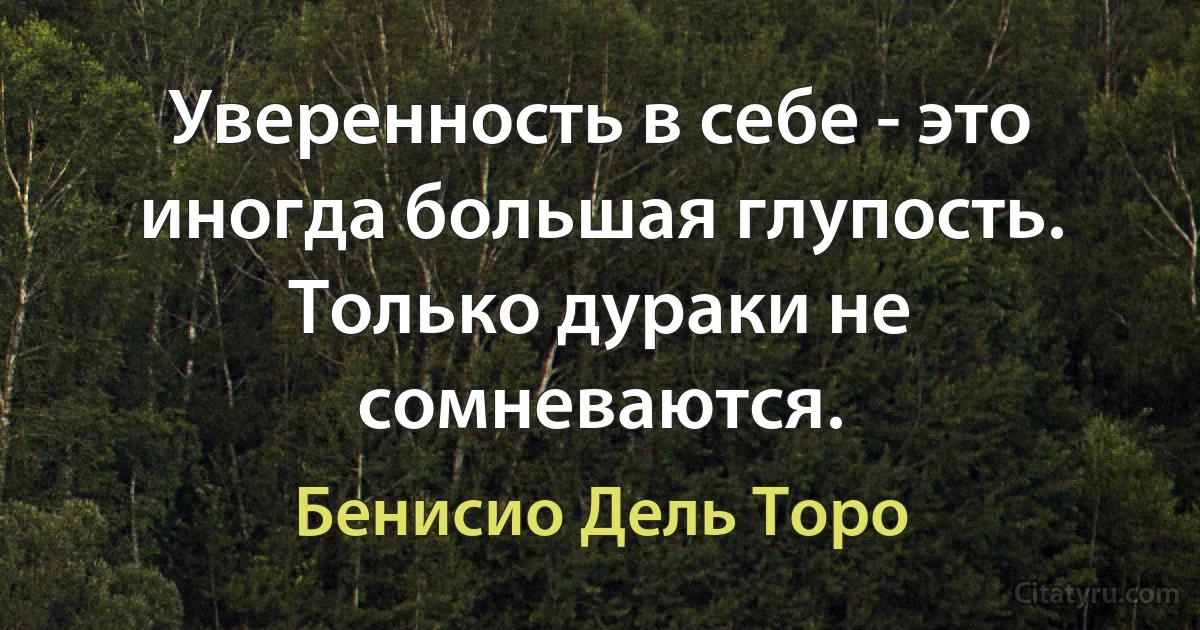 Уверенность в себе - это иногда большая глупость. Только дураки не сомневаются. (Бенисио Дель Торо)