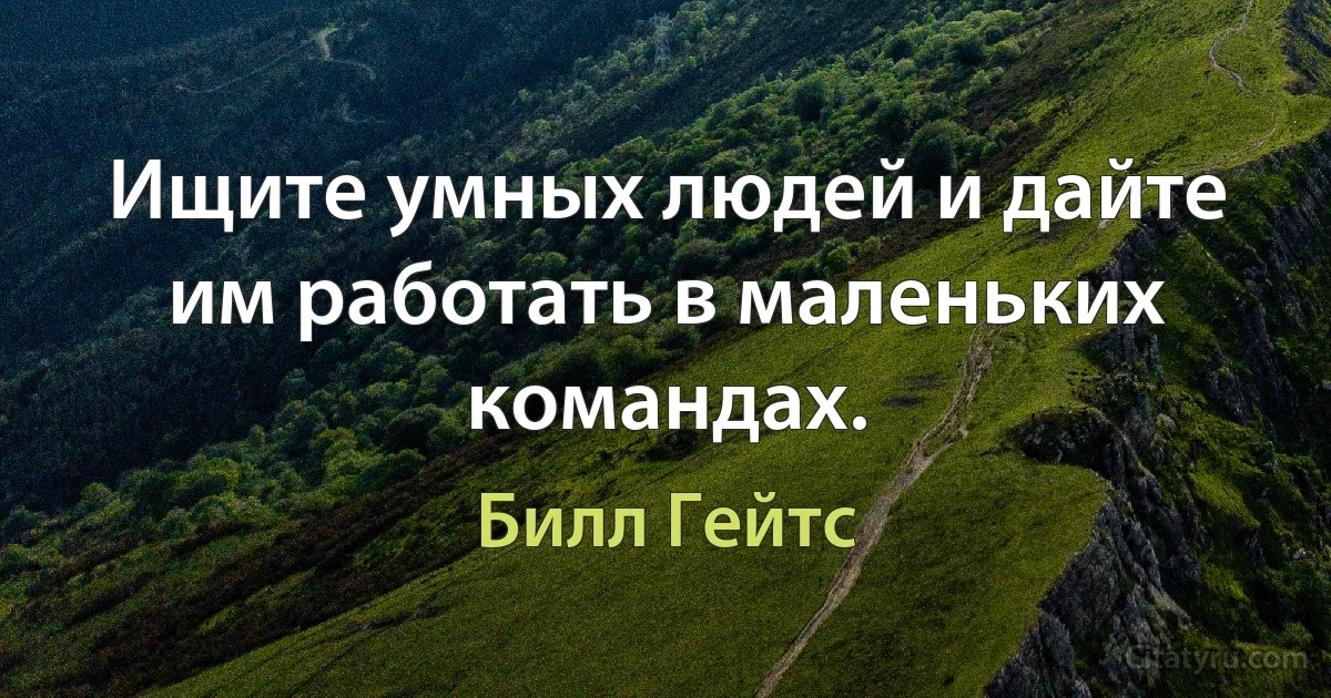 Ищите умных людей и дайте им работать в маленьких командах. (Билл Гейтс)