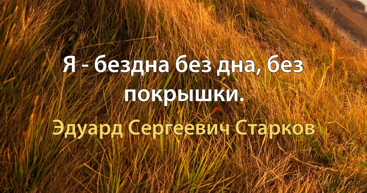 Я - бездна без дна, без покрышки. (Эдуард Сергеевич Старков)