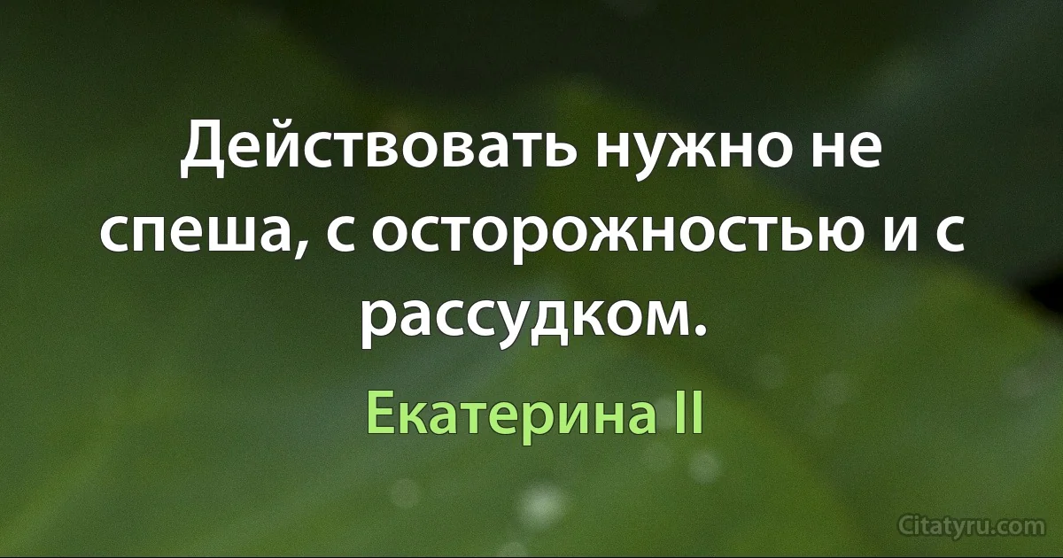 Действовать нужно не спеша, с осторожностью и с рассудком. (Екатерина II)