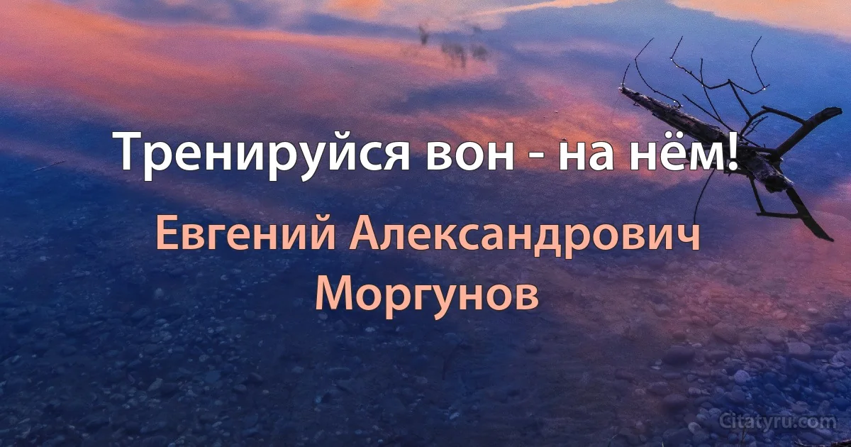 Тренируйся вон - на нём! (Евгений Александрович Моргунов)