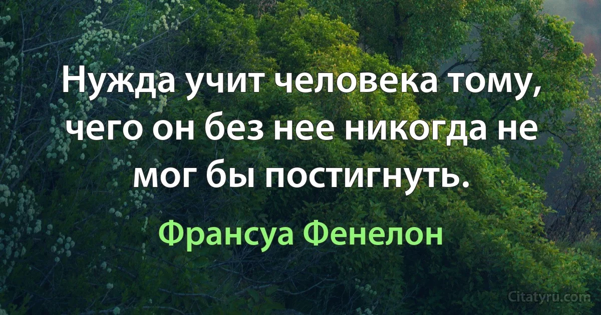 Нужда учит человека тому, чего он без нее никогда не мог бы постигнуть. (Франсуа Фенелон)