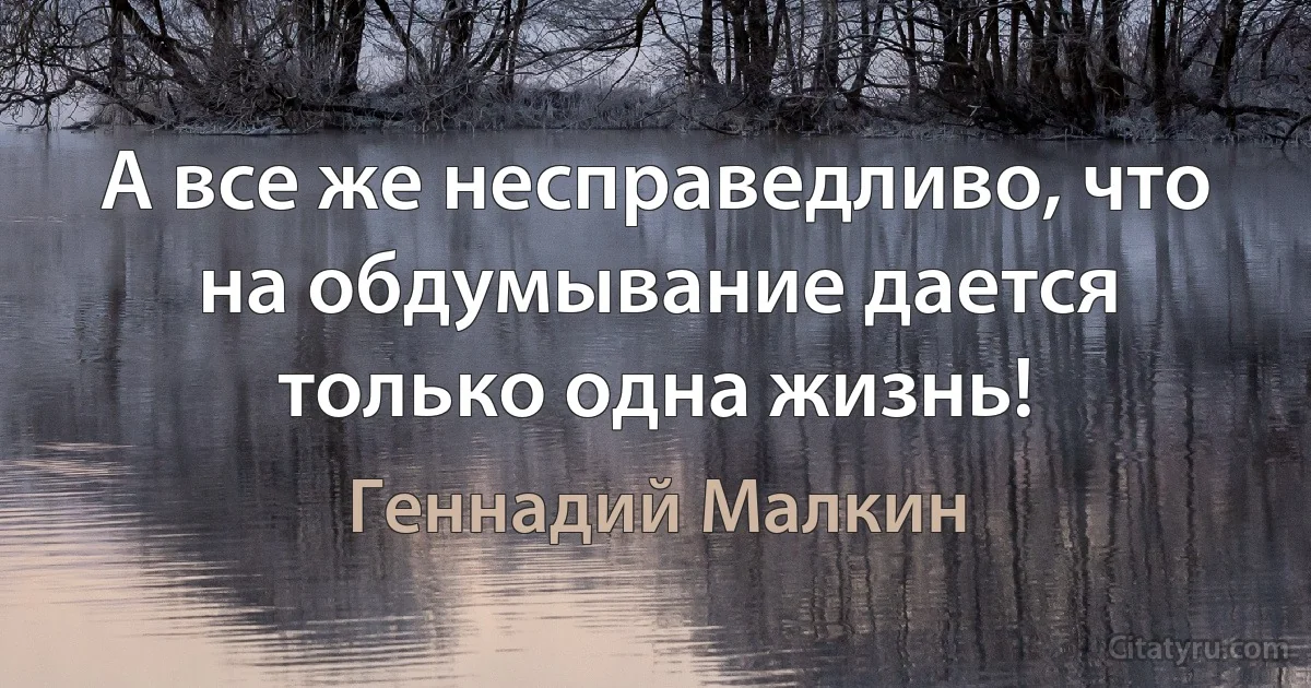 А все же несправедливо, что на обдумывание дается только одна жизнь! (Геннадий Малкин)